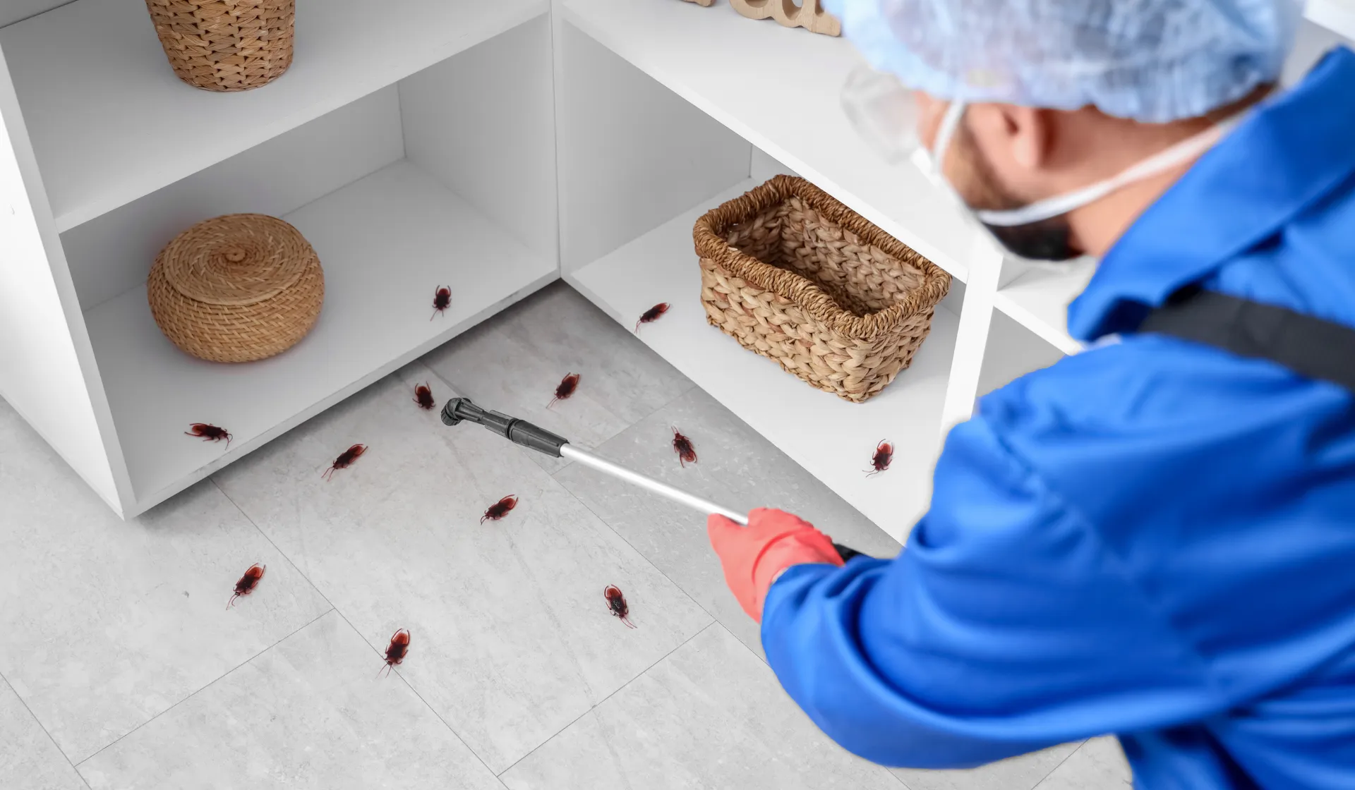 PPC landing page optimization for pest control